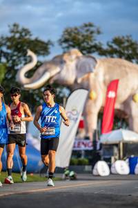 BIB: 
                            <button type="button" onclick="openModal(26541165)" class="btn btn-primary btn-sm float-right btn-popup" data-toggle="modal" data-target=".modal-high-quality">
                        <i class="fas fa-shopping-cart"></i> Add to Cart
                    </button>
                                            <button type="button" onclick="isThisMe(26541165, true)" class="btn btn-success btn-sm float-right btn-popup btn-isme hidden" data-toggle="tooltip" data-placement="bottom" title="นี่คือรูปของคุณใช่ไหม คลิกที่นี่เพื่อเอาเข้าอัลบั้ม">
                        <i class="fas fa-plus"></i> Add to album
                    </button>
                    <button type="button" onclick="isThisMe(26541165, false)" class="btn btn-warning btn-sm float-right btn-popup btn-isnotme hidden">
                        <i class="fas fa-ban"></i> Remove from album
                    </button>